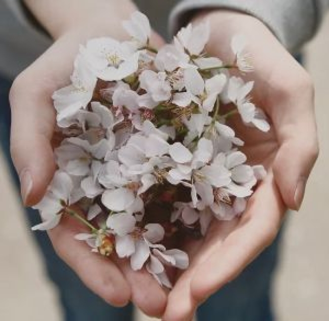 Accompagnement holistique - Indisponible actuellement