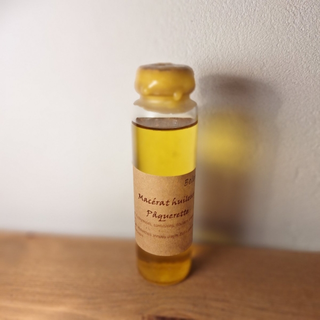 Macérat huileux de pâquerette - 50 ml